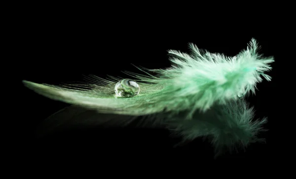 Pluma con gota de agua — Foto de Stock