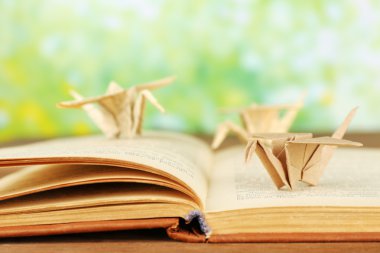 Origami Vinçler tarihinde ahşap masa, açık havada eski kitap