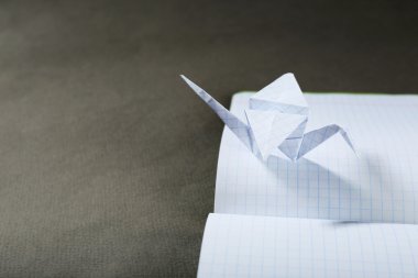 Origami Vinçler dizüstü gri arka plan üzerinde