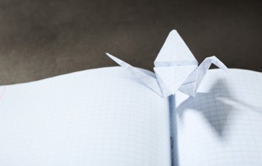 Origami Vinçler dizüstü gri arka plan üzerinde