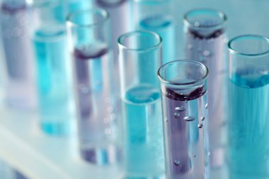 test tüpleri sıvı ile