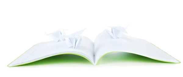 Gru origami su notebook, isolate su bianco — Foto Stock