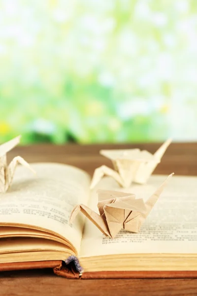 Gruas de Origami em livro velho sobre mesa de madeira, ao ar livre — Fotografia de Stock