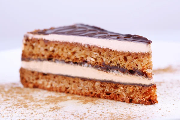 Deliziosa torta al cioccolato — Foto Stock