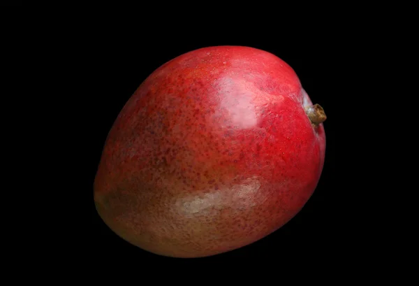 Mango on black background — Stock Photo, Image