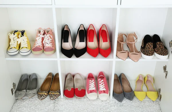 Colección de zapatos de moda — Foto de Stock