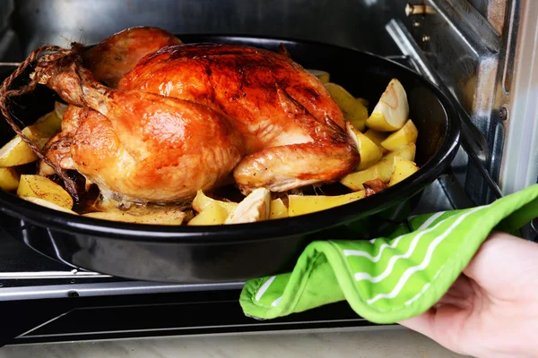 Delicious baked chicken — Stock Photo, Image