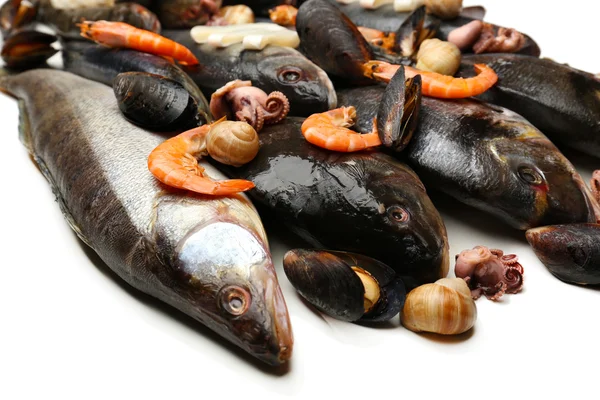 Frischer Fischfang — Stockfoto