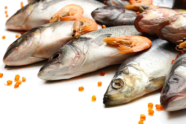 Fresh catch of fish — Stock Photo, Image