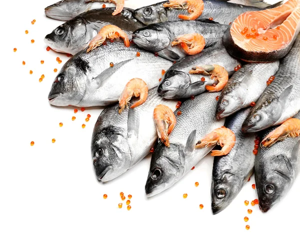 Fresh catch of fish — Stock Photo, Image