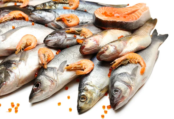 Fresh catch of fish — Stock Photo, Image