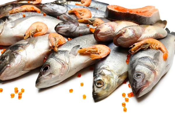 Pesca fresca di pesce — Foto Stock