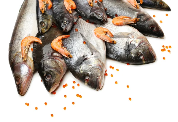 Captura fresca de pescado —  Fotos de Stock