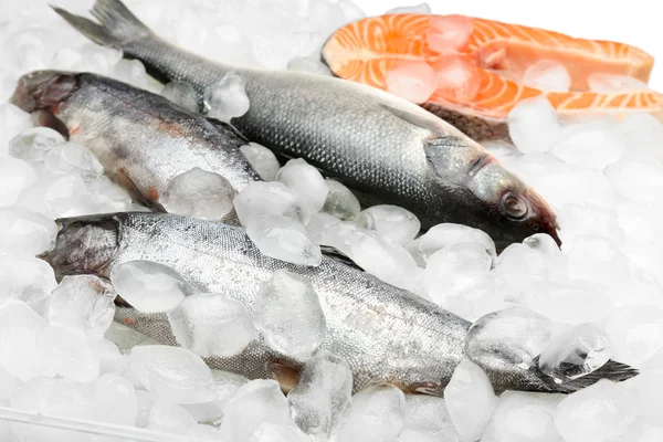 Świeże ryby na lodzie — Zdjęcie stockowe
