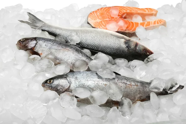 Čerstvé ryby na ledu — Stock fotografie