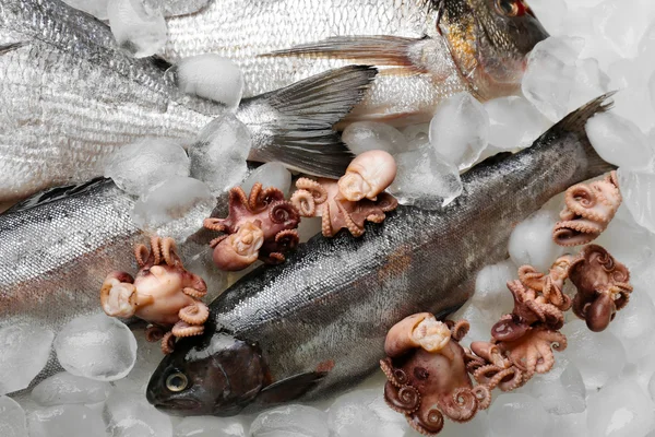 Świeże ryby i owoce morza — Zdjęcie stockowe