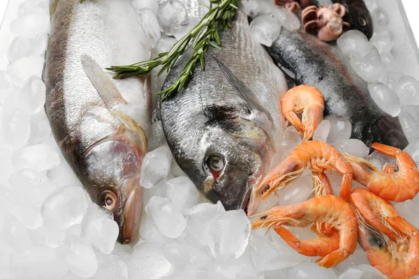 Fresh fish and seafood — Stock Photo, Image