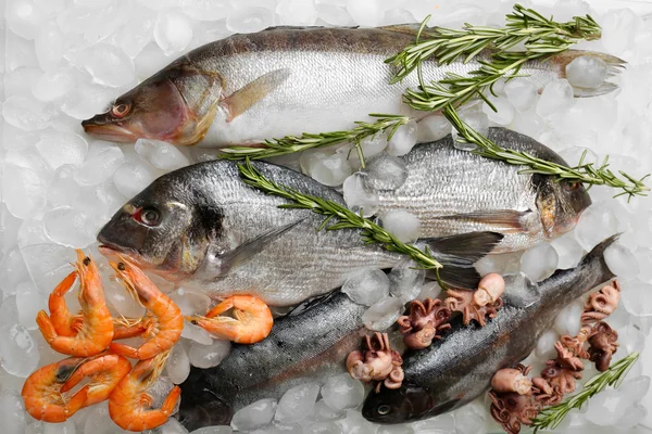 Peixes e mariscos frescos — Fotografia de Stock