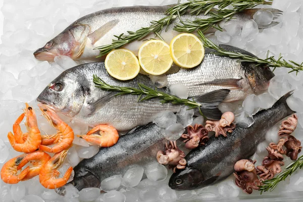 Peixes e mariscos frescos — Fotografia de Stock