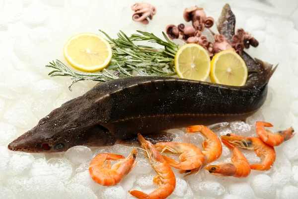 Verse vis en zeevruchten — Stockfoto