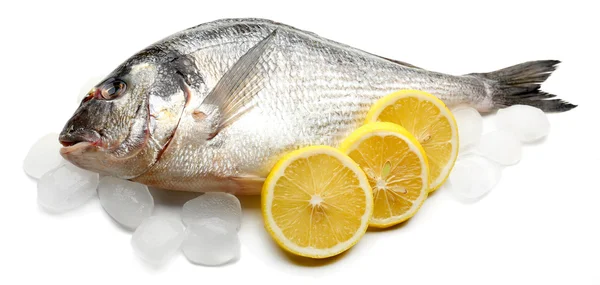 Fresh fish with ice — Stock Photo, Image
