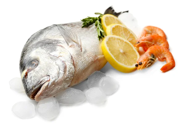 Čerstvé ryby s ledem — Stock fotografie