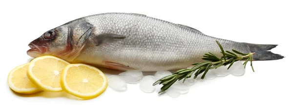 Fresh fish with ice — Stock Photo, Image