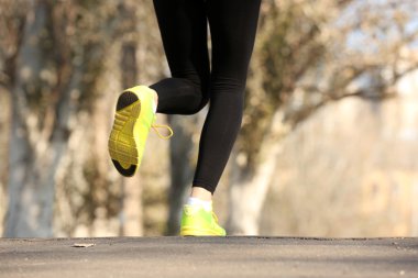 Road Runner's ayakta