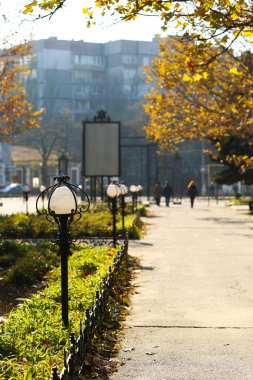 güzel sonbahar park