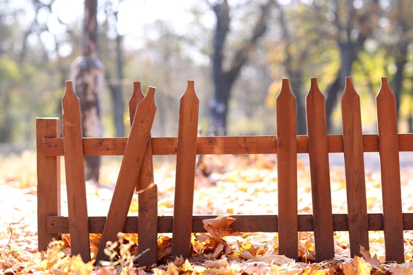 Abandoned fence in park — Stock Photo, Image