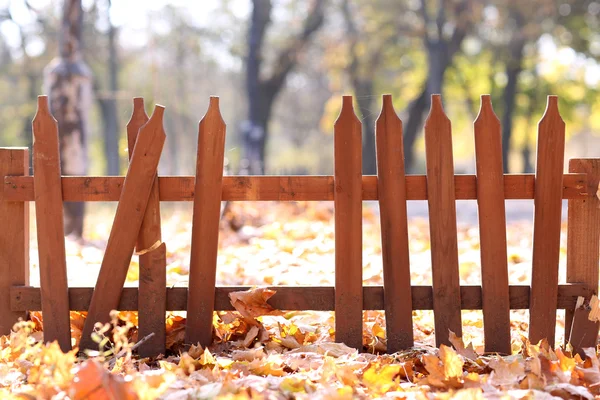 Abandoned fence in park — Stock Photo, Image