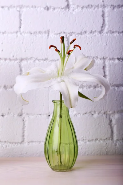 Beau vase sur cheminée dans la chambre — Photo