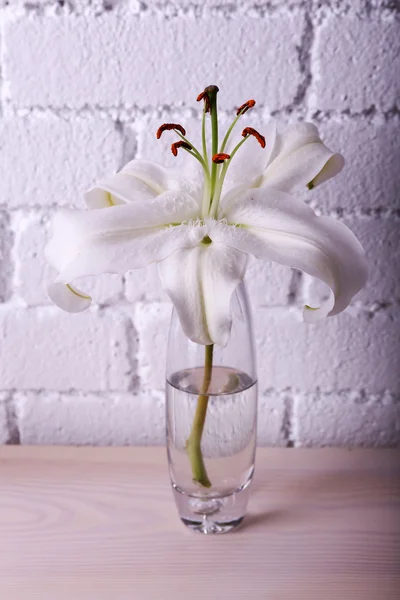 Schöne Vase am Kamin im Zimmer — Stockfoto