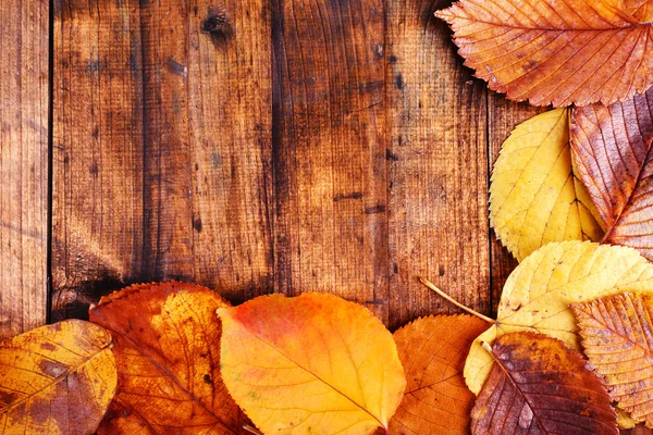 Foglie gialle su fondo di legno — Foto Stock