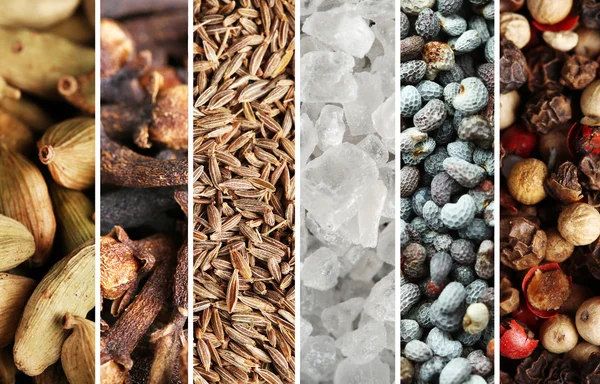 Spices collage — Stock Photo, Image
