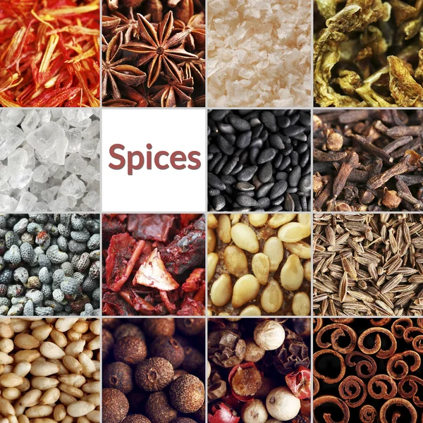 Spices collage — Stock Photo, Image