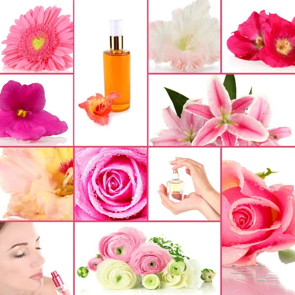 Perfume collage — Stock Photo, Image
