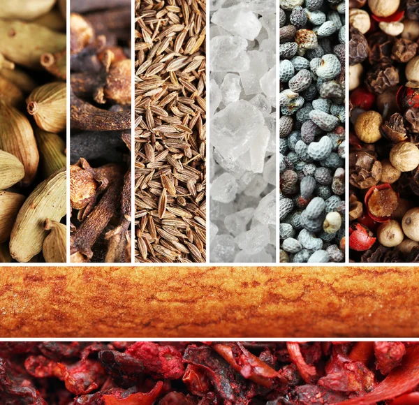 Spices collage — Stock Photo, Image