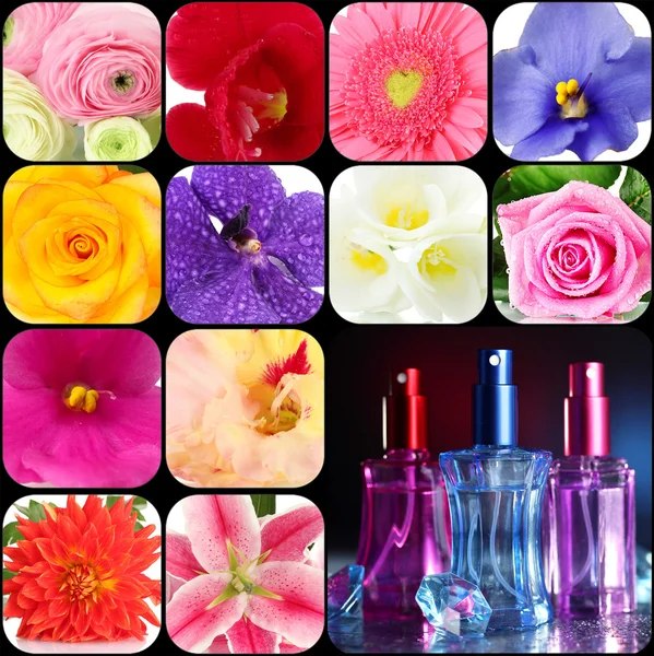 Perfumy kolaż — Zdjęcie stockowe