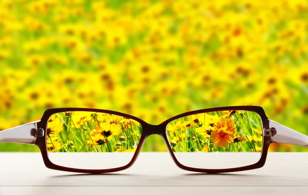 Conceito de visão. Óculos de olho na mesa de madeira ao ar livre — Fotografia de Stock