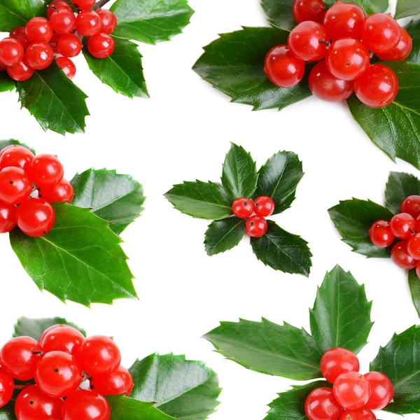 Leaves of mistletoe with berries collage — Stock Photo, Image
