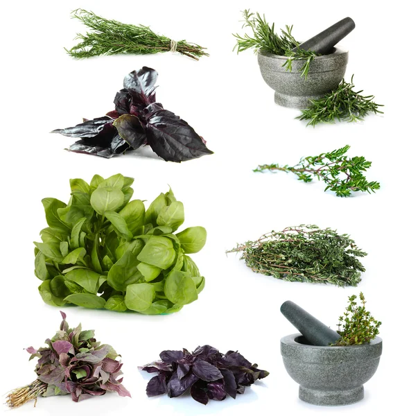 Fresh herbal collage — Stock Photo, Image