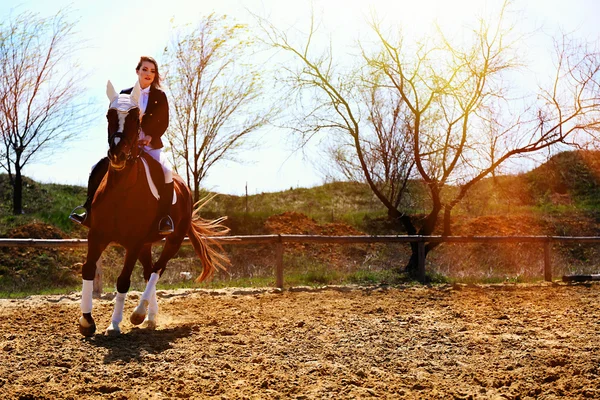 Krásná dívka s koněm venku — Stock fotografie
