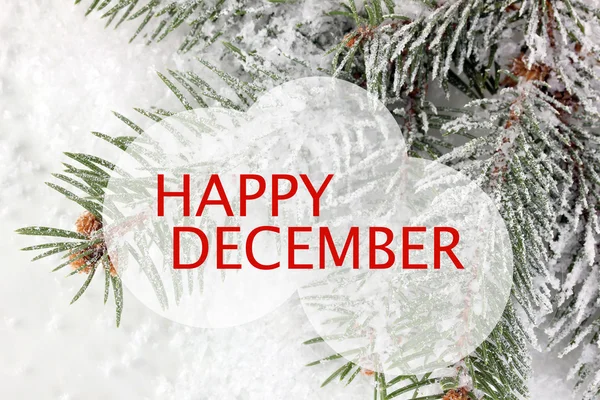 Happy December, greeting card. Winter background — Stock Photo, Image