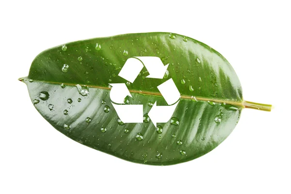 Símbolo de reciclagem em folha verde, conceito de reciclagem — Fotografia de Stock