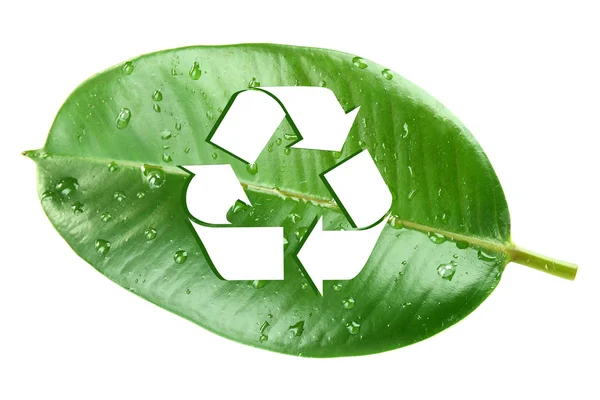 Символ вторичной переработки на зеленом листе, концепция переработки — стоковое фото