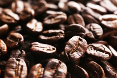kahve çekirdekleri, yakın çekim