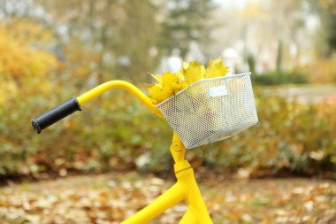 Sonbahar Park sarı Bisiklet