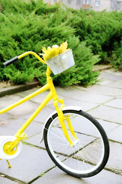 Bicicleta amarilla en parque — Foto de Stock