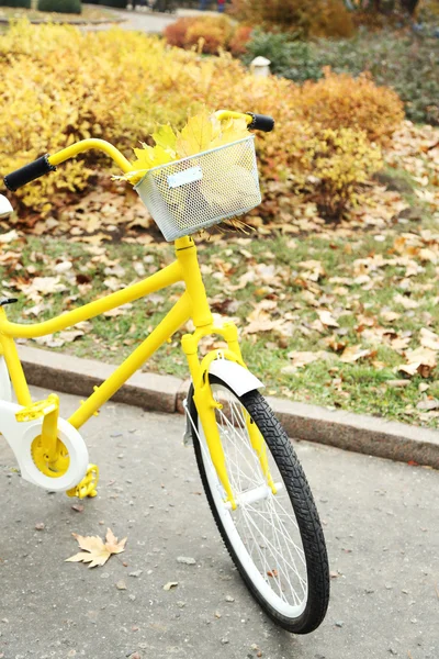 Žluté kolo v parku — Stock fotografie